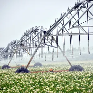 Système d'irrigation de pivot de centre d'agriculture/système d'irrigation latéral à vendre