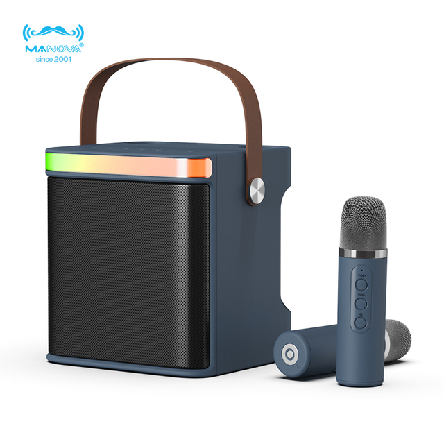 Customized Pro BT Wireless Portable Bass Karaoke System Speaker with Dual Microphones for Outdoor Party Singing Entertainment