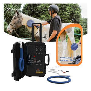 1000-600 Gauss avec <span class=keywords><strong>tapis</strong></span> Paddle PEMF Magnetic Therapy Device PMST LOOP for Horse Animal Care China PEMF Loop PEMF Mat - Product Image 2