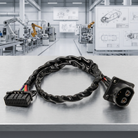 Arnés Adaptador Automotriz Personalizado de Doble Terminal y Múltiples Pines |   Cable de Par Trenzado OFC Anti-Interferencia 12V/24V DC 500mm