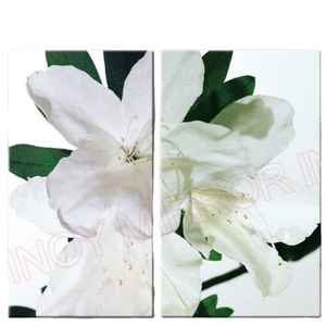 China Qingdao Factory Price HD 3mm 4mm 5mm 6mm Low Iron extra clear ultra clear <b>Silver</b> <b>Mirror</b> Glass with Customer Size - Product Image 2