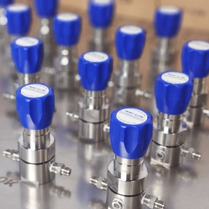 Régulateur de pression de contre-pression NAILOK NR71 SS316 1/4 pouce femelle NPT, plage de contrôle de pression : 25-2000 psi, contrôle de pression <span class=keywords><strong>pour</strong></span> pipeline de <span class=keywords><strong>gaz</strong></span> - Product Image 6