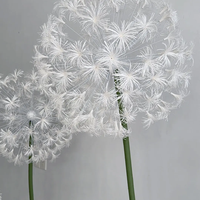 Dekorasi Bunga Dandelion Buatan Tangan Ukuran Besar, Ramah Lingkungan dan Cocok untuk Acara Pernikahan