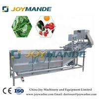 Volautomatische Industriële Oranje Fruitwasmachine Maquina Para Lavar Naranjas