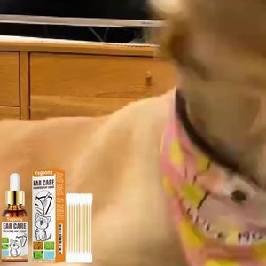 Limpiador de oídos líquido para cachorros y gatitos con logotipo personalizado, 50ml, para el cuidado de los oídos, tratamiento de infecciones - Product Image 3
