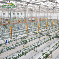 Grande serre en verre multi-voûtes pour l'agriculture, les pépinières, les plantes, les tomates, les fraises, tunnel hydroponique en PE pour la culture des légumes