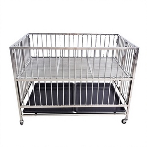 Dog Display <strong>Cage</strong> Stainless Steel Frame Rectangular Shape for Pet Store &amp; Dog <strong>Show</strong> Use - Product Image 1