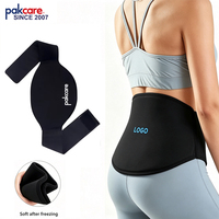 Solide Gel Ceinture de refroidissement orthèse de glace enveloppement chaud froid pack soutien lombaire pour le soulagement de la douleur du bas du dos