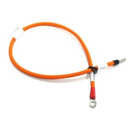 Câble haute tension pour VE 6mm² Orange 1500V CC Faisceau de câbles pour véhicule électrique avec borne annulaire -40°C 125°C Thermorétractable OEM Personnalisé