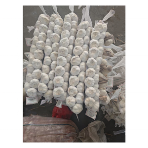 Exportación de <span class=keywords><strong>ajo</strong></span> rojo de alta calidad, <span class=keywords><strong>ajo</strong></span> blanco púrpura fresco, <span class=keywords><strong>ajo</strong></span> orgánico para el mercado de Oriente Medio - Product Image 6