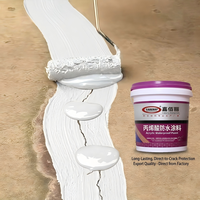Revêtement liquide monocomposant de qualité supérieure pour l'extérieur et l'intérieur, revêtement imperméable en acrylique pour murs et toits