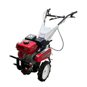 China Beste Kwaliteit Tweewielige Landbouwwerktuigen Agrarische Tuin Mini Power Tiller Cultivator