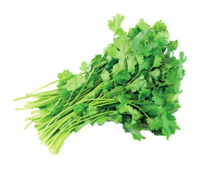 उच्च गुणवत्ता 100% प्राकृतिक धनिया बीज का अर्क पाउडर धनिया पाउडर/धनिया पाउडर/धनिया पत्ता - Product Image 3