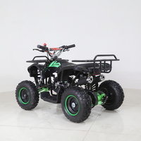 Quad ATV utilitaire miniature Tao Motor Rino 50 pas cher, 2 temps, 49 cm³, 4 roues pour enfants