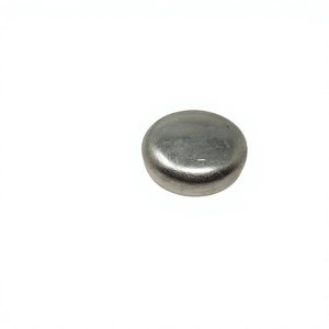 เหมาะสำหรับปลั๊กแกนกลาง TATA Telcoline OEM 254701108203 2547011082 ปลั๊กขยายตัวเครื่องยนต์ 2.2L Dicor 4SP อะไหล่ - Product Image 1