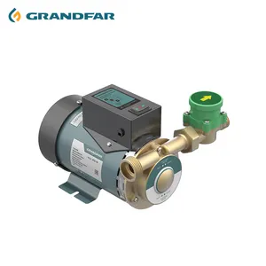 GRANDFAR Bomba de água de aumento de pressão automática direto da fábrica 110/220 V 120 W Mini bomba de água de diafragma com manômetro