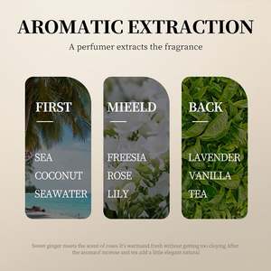 SADOER Shampooing pour cheveux de marque privée Marque privée Clean Anti-pelliculaire Anti-<span class=keywords><strong>poux</strong></span> Shampooing pour cheveux Kératine Shampooing bio à la noix de coco - Product Image 6