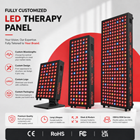 Panneau de luminothérapie rouge sur mesure OEM ODM, spectre LED personnalisé, longueur d'onde, apparence, fonctionnalités, support et marque privée