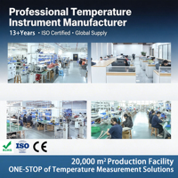 K-type Welded Thermocouple TT-K-30 Temperature Measurement Wire with Connector PTFE Material IP68 Rated OEM Customizable