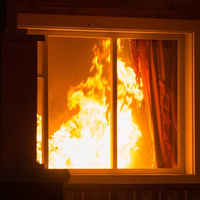 Fenêtres modernes ignifuges de haute qualité vendues directement par le fabricant pour une utilisation extérieure et en salle de bain pour les usines, les écoles, les villas