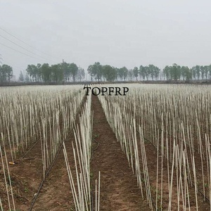 Eco-friendly Agriculture Support Fiberglass Garden Stake/sticks/<b>rods</b> - Product Image 5