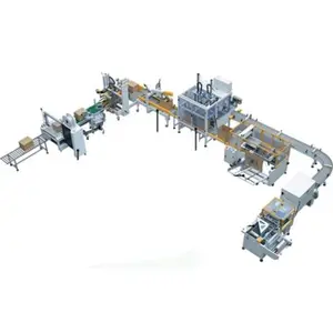 customized automatic back-end package line including carton erector,pick & place machine,carton sealer,palletizer,empty pallet s