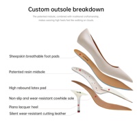 Escarpins Nude en Peau de Mouton Haute Qualité pour Femme, Nouveaux Stilettos Polyvalents à Bout Pointu, Chaussures Tendance pour Femme