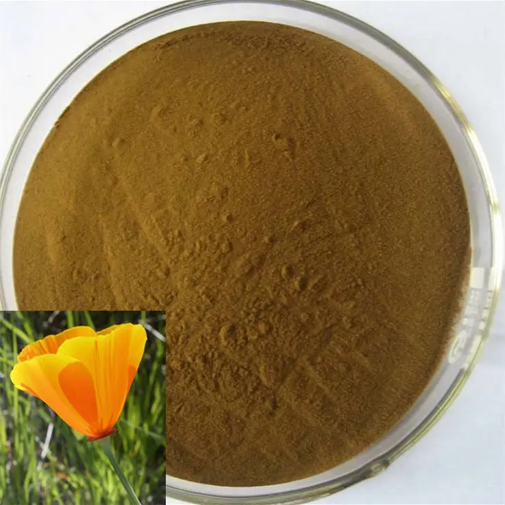 Factory Supply Eschscholzia Californica Poeder California Poppy Extract