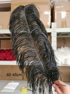 Pour les décorations 60-65cm <span class=keywords><strong>plume</strong></span> d'autruche <span class=keywords><strong>noire</strong></span> en gros grandes plumes d'autruche naturelles moelleuses pour décor de carnaval de fête d'événement - Product Image 5