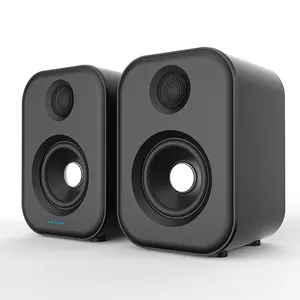 OEM/ODM Enceinte moniteur de studio Hifi professionnel alimenté 2.0 canaux Haut-parleurs d'étagère Enceinte d'ordinateur