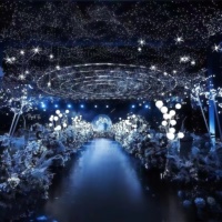 Accessoires de mariage romantiques : Guirlande lumineuse scintillante en forme d'étoiles, éclat étoilé intense pour améliorer l'ambiance des auditoriums, scènes, bars et restaurants