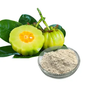 Extrait de Garcinia Cambogia de haute qualité 50 '% Extrait de Garcinia Supplément de Garcinia Cambogia - Product Image 1