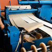Machine à éplucher le bois rotative à commande PLC pour la production de placages de contreplaqué
