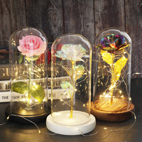Agent de Dropshipping Shopify pour la Vente Chaude 2026 : Rose Éternelle LED Galaxie avec Lumières Féériques pour Cadeau de Saint-Valentin