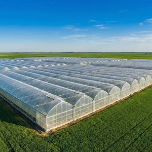 Serre en film plastique multi-travées à ventilation de toit, directement de l'usine, pour projets commerciaux de culture de légumes - Product Image 3