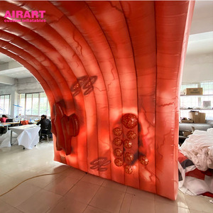 2020년 신형 대형 인플레이터블 대장, 대장암 과학 박람회용 - Product Image 4