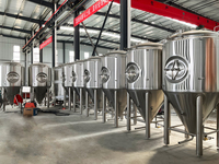 Équipement de brasserie de grande capacité 1000L/10BBL, système de brassage de bière à domicile, cuves de fermentation coniques pour la bière