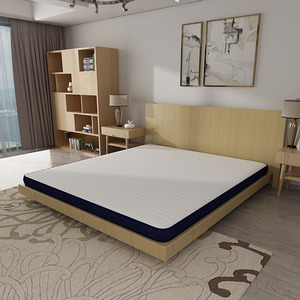 बिस्तर Miralux गद्दे नई 2019 कवर सफेद पश्चिमी कलाओं प्रौद्योगिकी Oem दीवार चीन कपड़े बतख स्नोमैन - Product Image 3