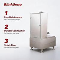 BlinkSong Commerciële Elektrische Fruit- en Groenteschilmachine van RVS, Automatisch, voor Restaurant en Voedselverwerking