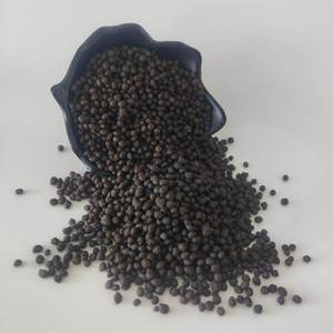 Diammonium Phosphate DAP 18-46-0 để bán Chất lượng cao được sử dụng trong nông nghiệp cho độ phì nhiêu của đất và tăng trưởng cây trồng - Product Image 4
