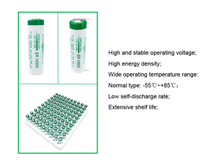 Pin <span class=keywords><strong>Lithium</strong></span> Forte ER14505 cỡ AA 2600mAh ER14505M LS14500 Pin LiSOCl2 - Product Image 6