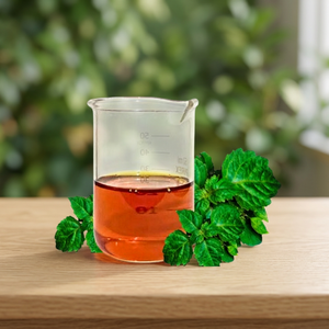 Aceite de Pachulí Atsiri Indonesia de Calidad Superior EARTH 32 con Aroma Dulce y Herbáceo para Fijador de Aromas - Product Image 2