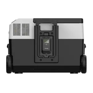 OEM/ODMサービス30Lポータブル冷蔵庫キャンプカー冷蔵庫12vコンプレッサー冷凍庫デジタルクーラーボックス