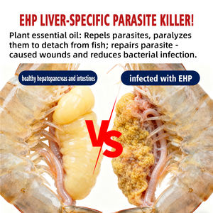 กรดอะมิโนเกรดอาหาร ChenYuan ParaZero-Aqua สำหรับการเพาะเลี้ยงสัตว์น้ำ ช่วยส่งเสริมการเจริญเติบโตและสุขภาพ ไม่มีสารตกค้าง - Product Image 3