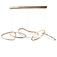 Créativité personnalisée simple éclairage doré décoration intérieure lustre plafonnier rond en forme spéciale suspension