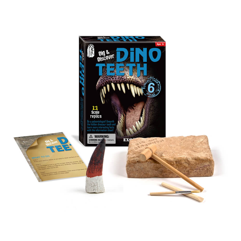 Fósil de dinosaurio de juguete para niños, colección de excavación de arqueología artesanal, creatividad, dientes de dinosaurio, juguetes educativos