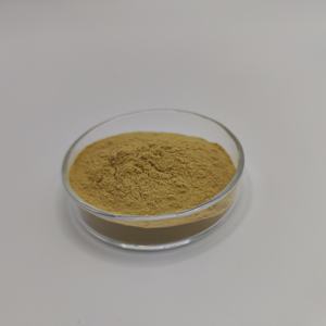 Polvo labial <span class=keywords><strong>de</strong></span> mejillón verde puro <span class=keywords><strong>natural</strong></span> <span class=keywords><strong>de</strong></span> grado alimenticio 99% - Product Image 2