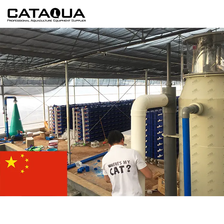 CATAQUA Hainan Project Ras оборудование для рыболовного хозяйства, Крытый грязевой краб, сельскохозяйственная коробка