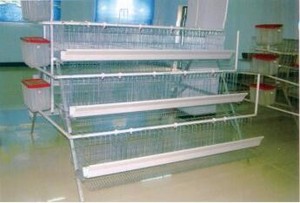 A-loại hoàn toàn tự động và hướng dẫn sử dụng lớp trứng gà lồng Chất lượng cao Điều kiện Mới - Product Image 3