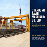 Palans électriques Tav Crane pour applications en chantier de construction, 1-20m, avec garantie de 4 ans, équipement pour inspection par rapport et vidéo